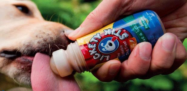 Lickety stik for dogs hotsell