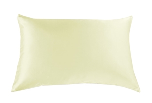 SILK PILLOW CASE TWIN PACK - Ivory Colou