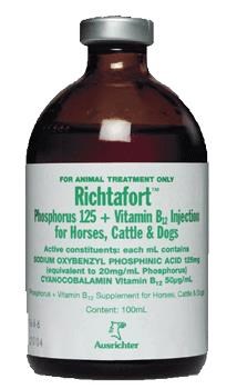 horse vitamin b12 injection Vitamin B Complex