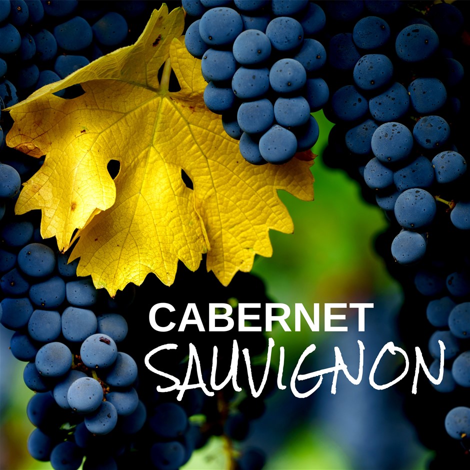 CABERNET'S