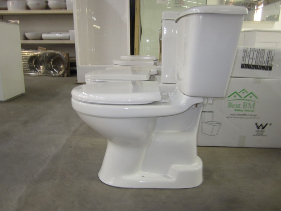 s trap toilet and cistern