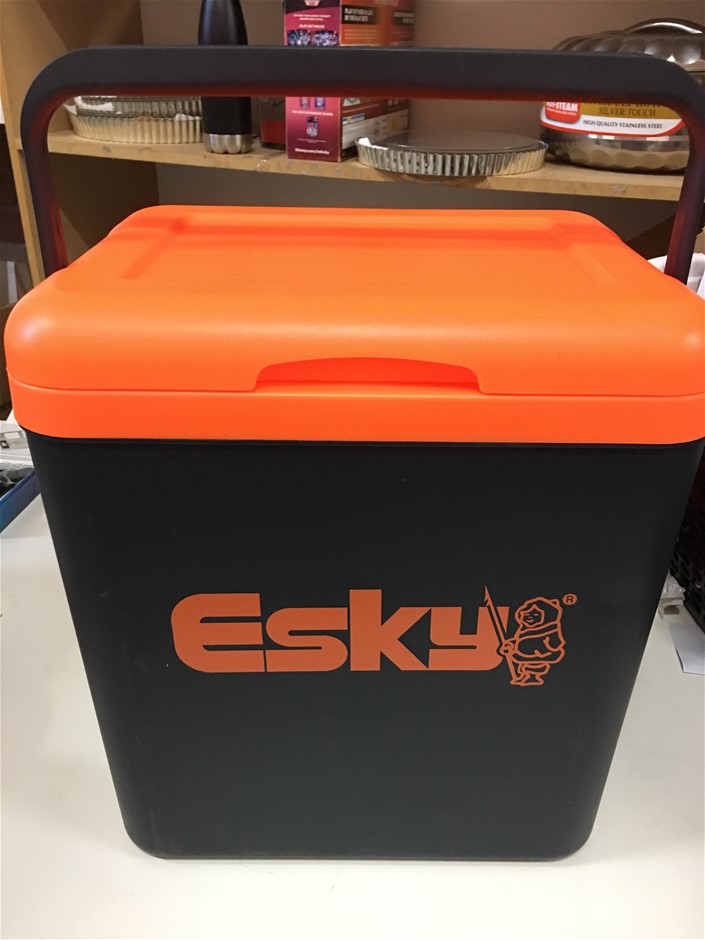 Esky Esky 26 Litre Hi Vis Cooler Auction (00533015667) Grays Australia
