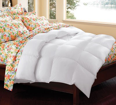 German Made 95% Hungarian Goose Down Qui