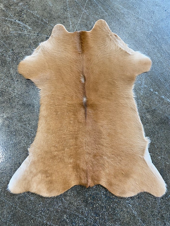 Approx. 8 Mini Cow Hide Rugs Auction (02493017006) Grays Australia
