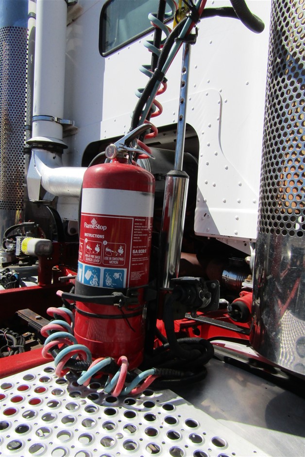 Rhodonite Antique Style Silver & Platinum Plated Pendant Necklace