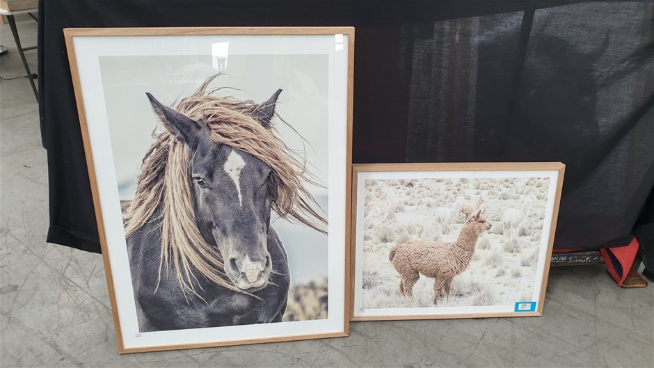 7.70 CT Natural Cat’s Eye Moonstone