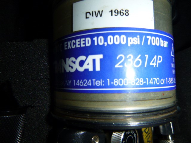 Solid 925 Sterling Silver "DECEMBER" Birthstone Earrings - Blue