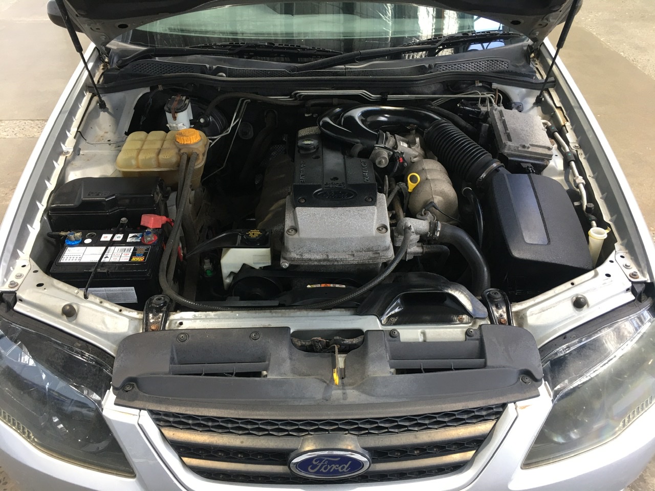 BULK, Collection, Aust Pre decimal, 300 x 1 Penny Roos, mixed GVI and QEII