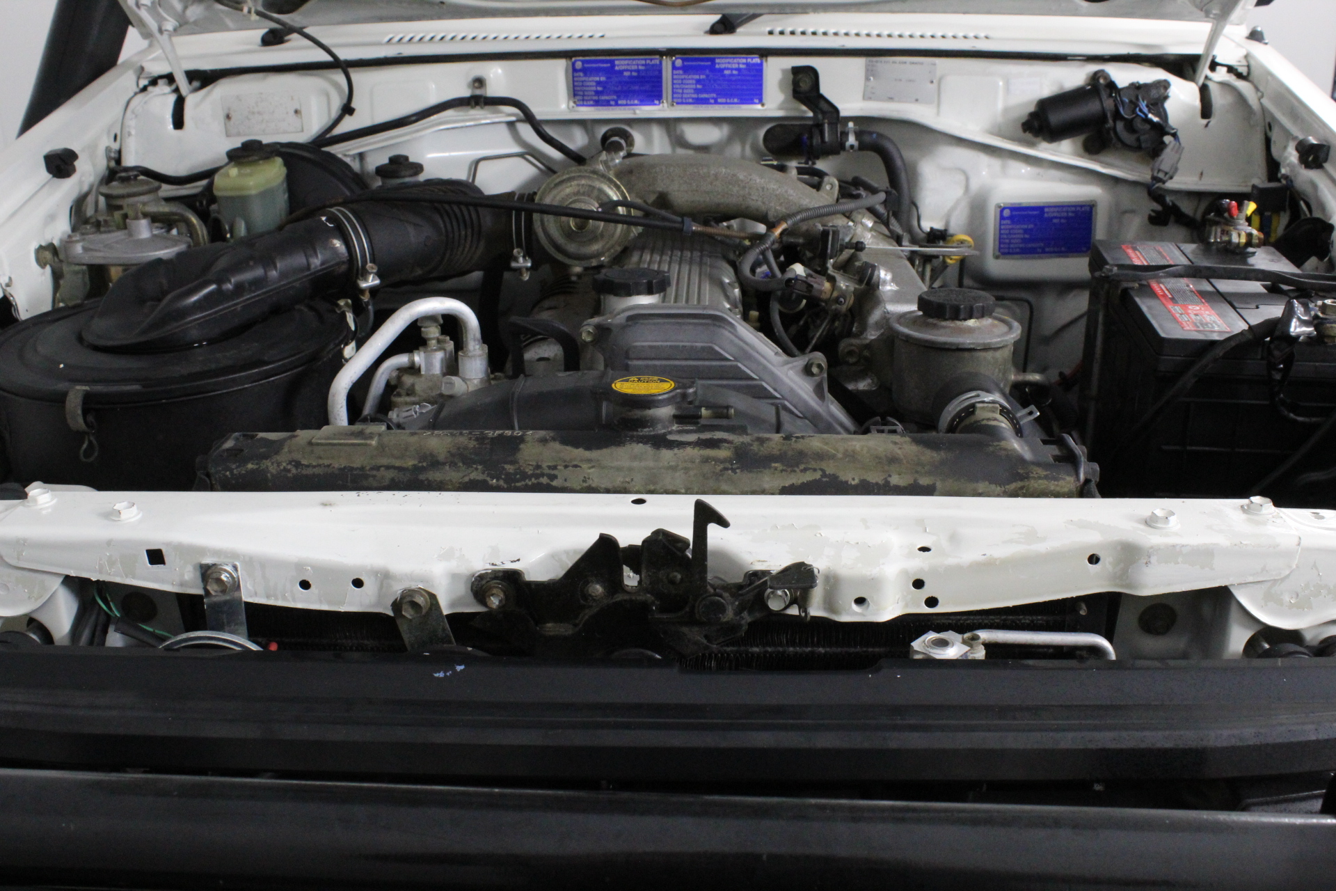 Australia Bluey $1 Dollar Bucks 2024 10 Coin Complete Set (Uncirculated)