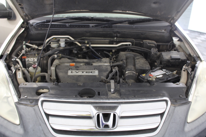 Tolsen Professional One Piece Forged Claw Hammer (Industrial)