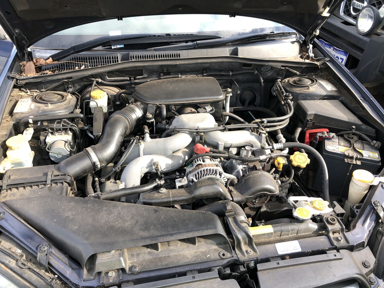 Little Giant Pinot Gris (6x 750mL).