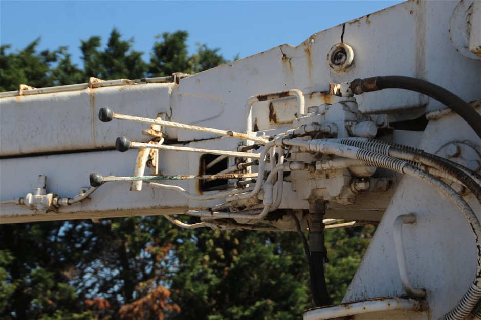 NEW!! LIMITED 2024 BLUEY DOLLARBUCK & BINGO $1 DOLLAR UNC Coin 2 CARD SET