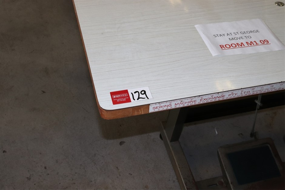 Bulk Pack of 12 Earrings in Gold