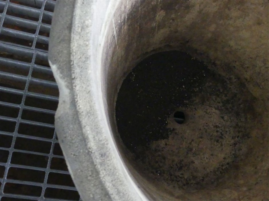 De Bortoli `The Accomplice` Shiraz (12x 750mL) Riverina