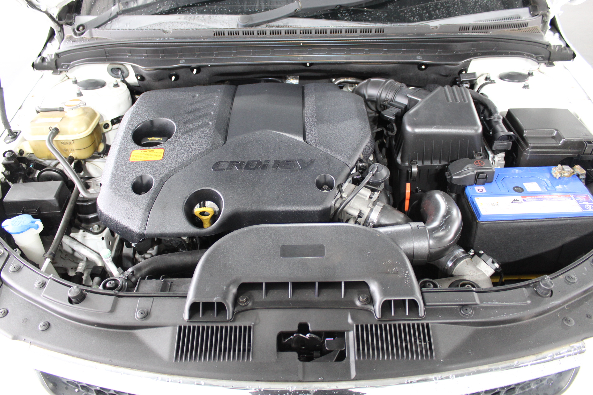 Crimson Monster Pinot Noir (6x 750mL) Current Vintage Release