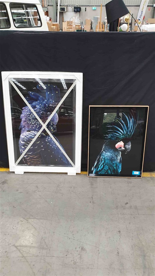 Peter Thompson Wines 2021 Merlot (12x 750mL), Coonawarra