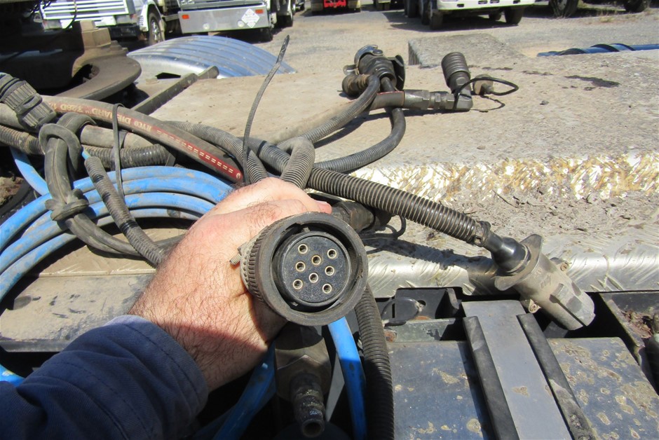 Elephant in the Room Pinot Gris 2025 (6x 750mL).