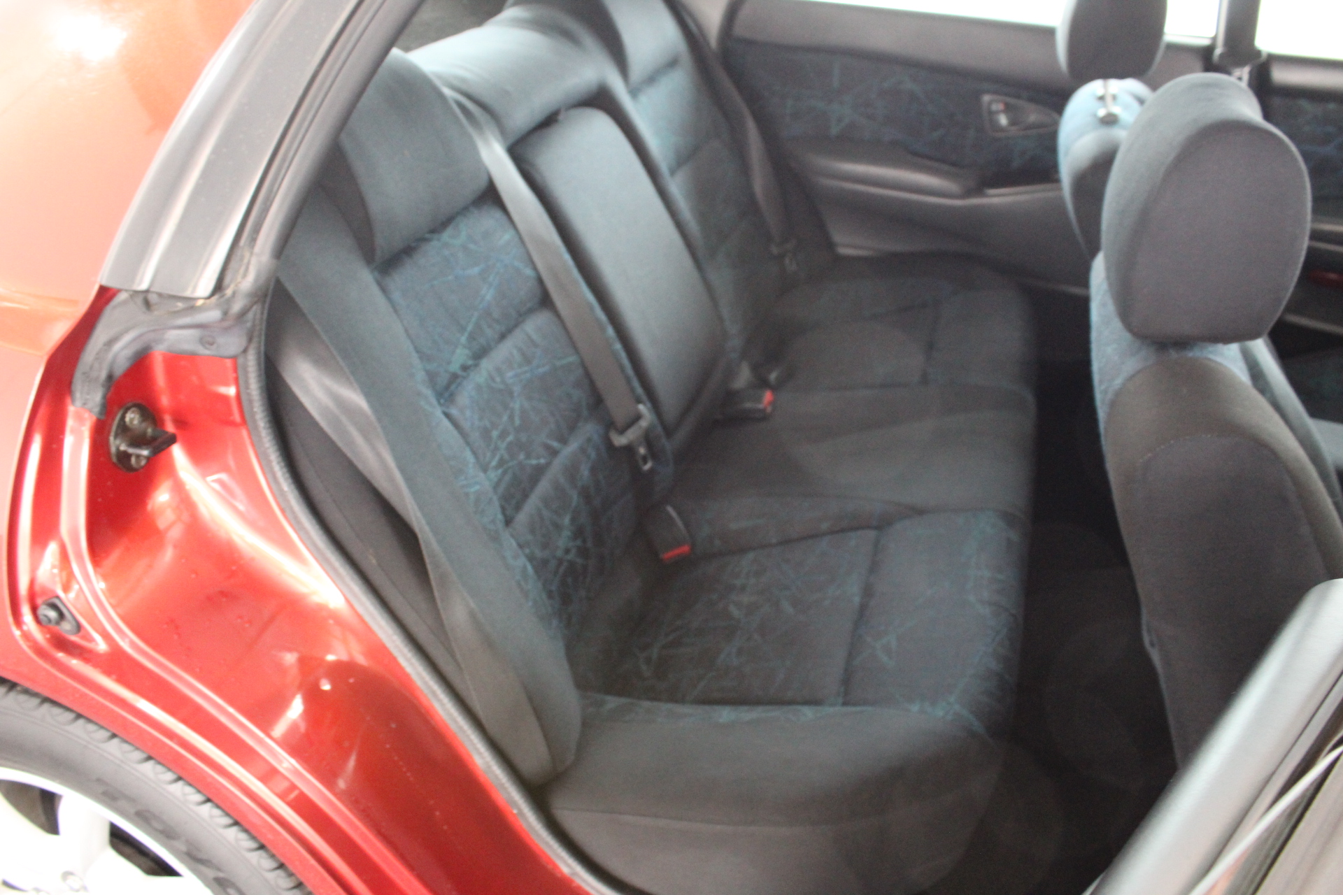 Thomson Estate Vine Dried Shiraz 2022 (12x 750mL) SA