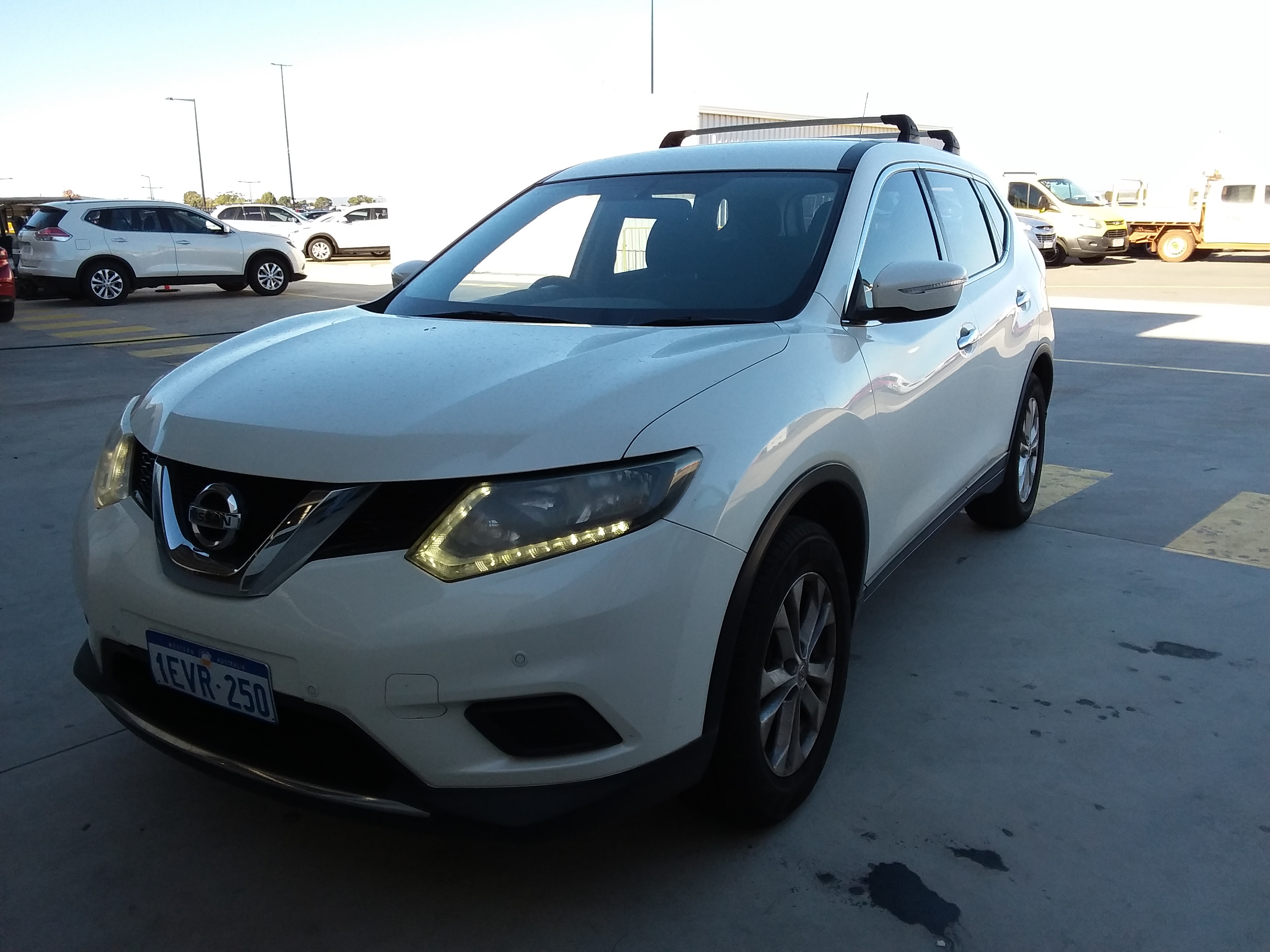 Harvey River Estate Barbera 2022 (6x 750mL) Geographe