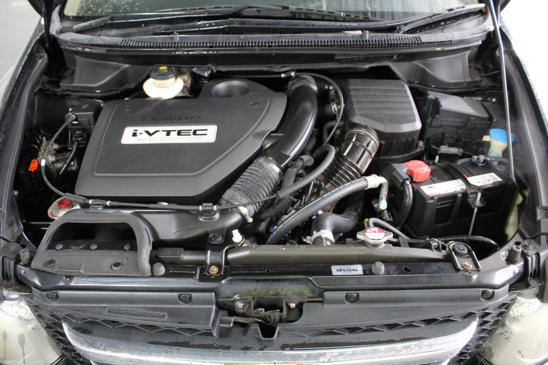 Thomson Estate Clare Valley Merlot 2023 (12x 750mL) SA