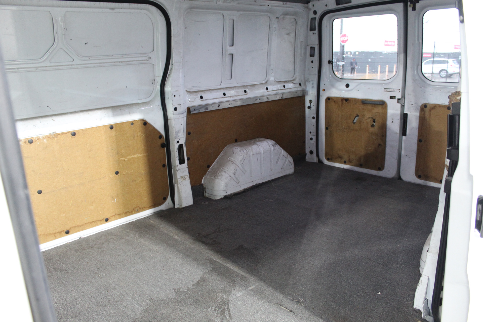 Radius Leopard Blue/Green Bicycle