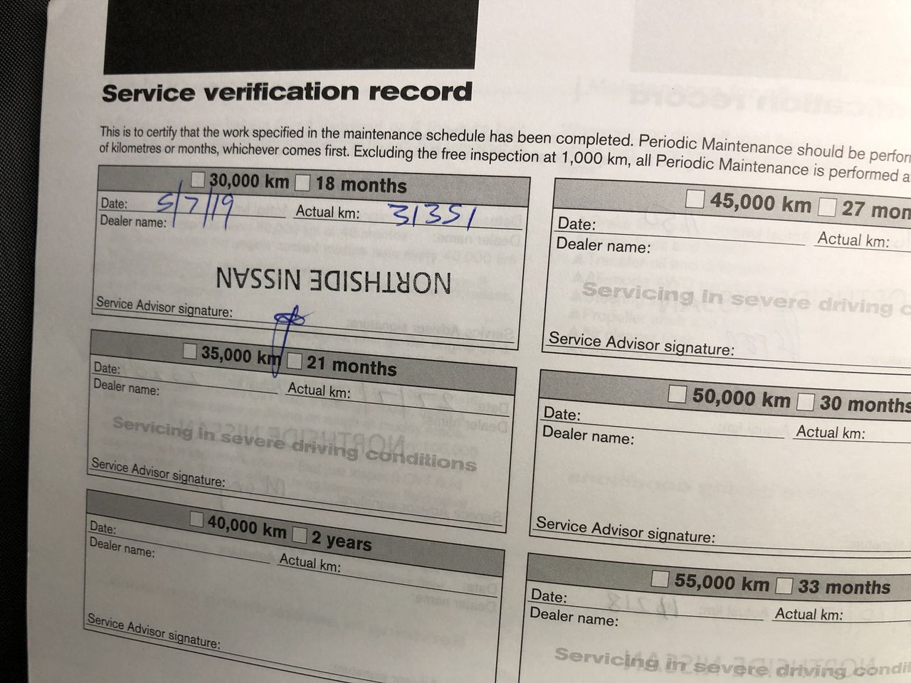 Mulberry Silky Snake Print Tote