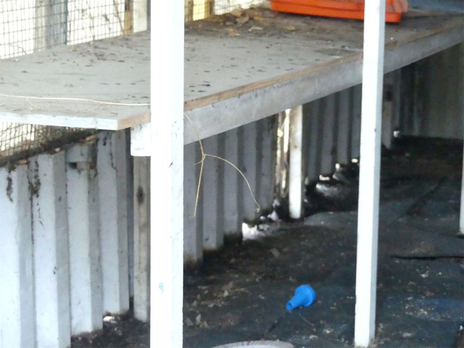 18K Gold - Filled Clustered Necklace Simulated Diamonds, 12MM Wide - 60.9cm