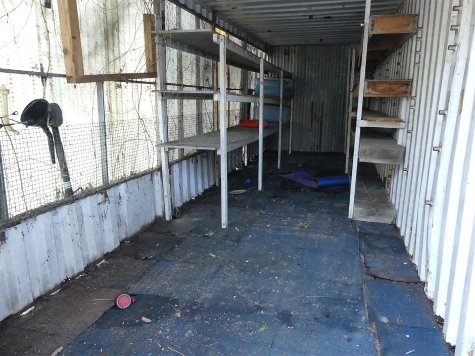 18K Gold - Filled Clustered Bracelet Simulated Diamonds, 12MM Wide - 22.8cm