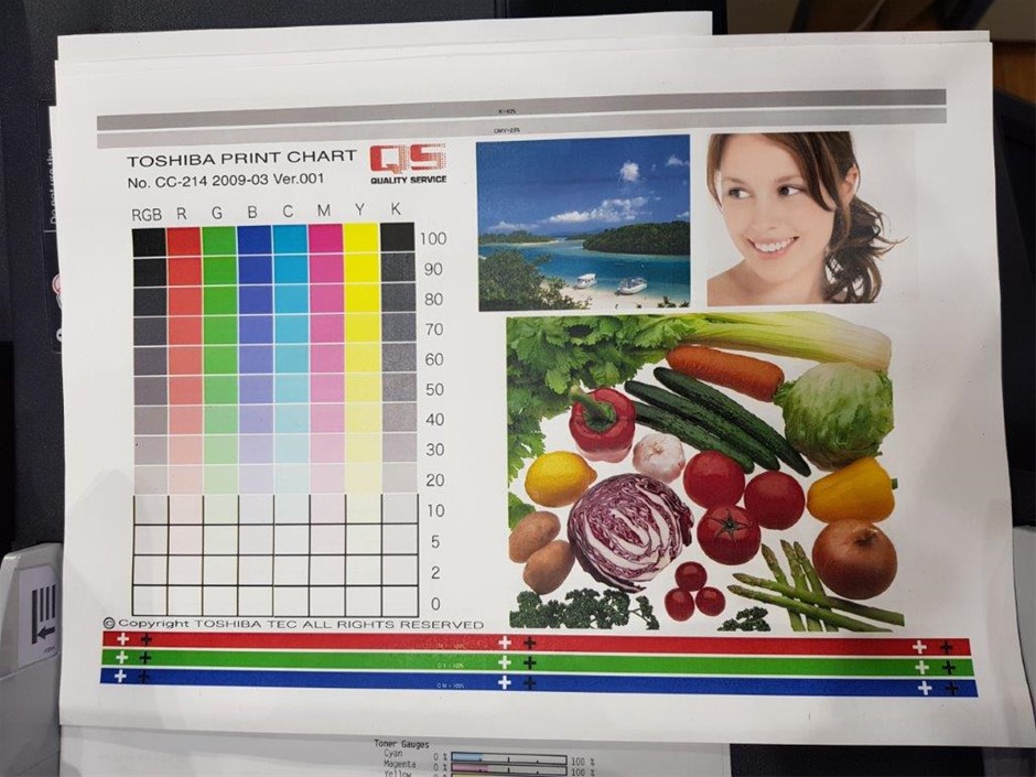 1 Gram Perth Mint Gold Bar