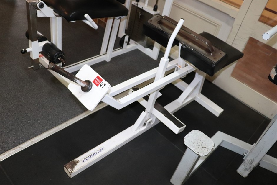 BUNDLE: ergoPouch Organic Toddler Pillow and Case, Daisies X DREAMBABY Magg