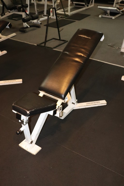 PET BUNDLE: AMAZON BASICS Foam Pet Bed, Size Small, Blue. + COOLAROO rigina