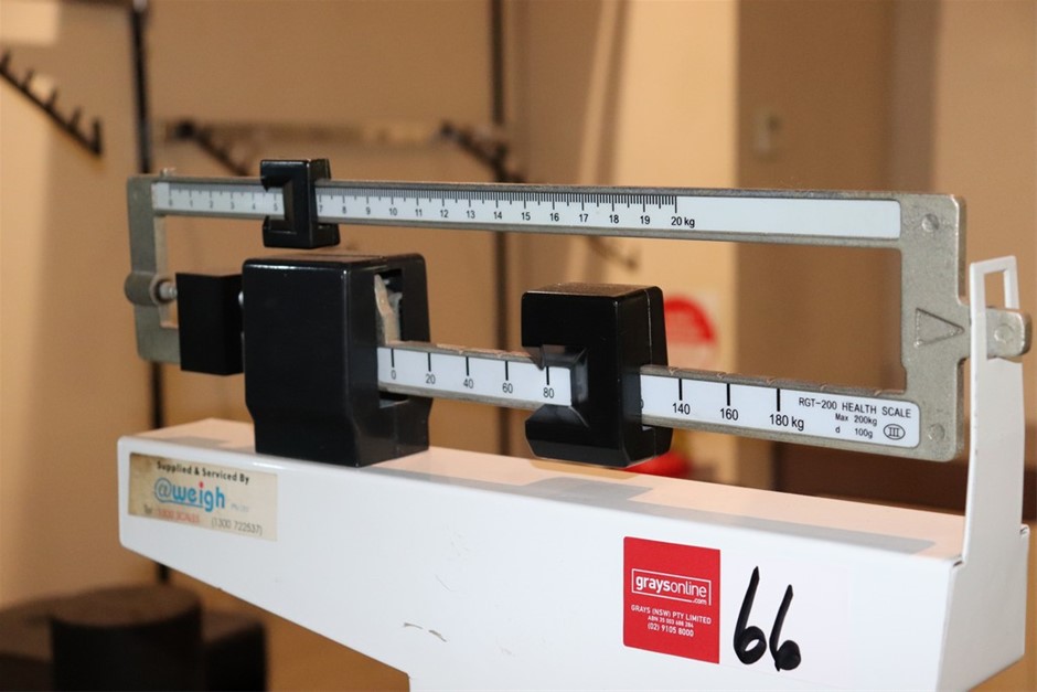 MonsterVerse Godzilla King of the Monsters Roll 'N Battle Godzilla 11 inch