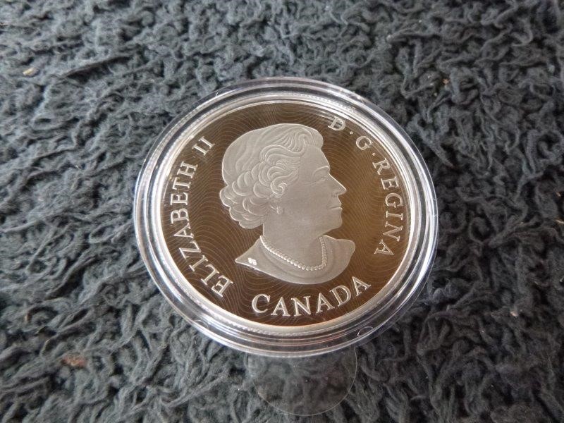 Dee Vine Estate Range Pinot Grigio 2025 (12x 750mL) NSW