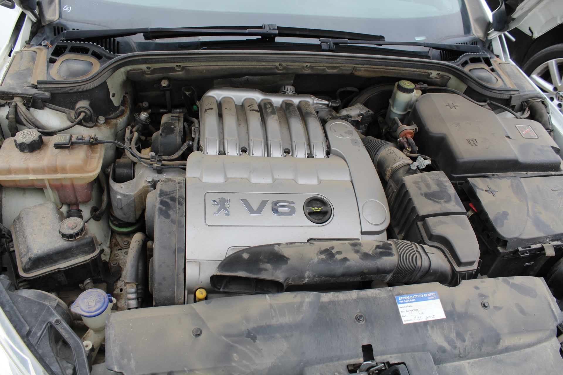 2014 Set of 8 x 5 g Certified "Aust Animal Series" Finished 999 24 k Gold