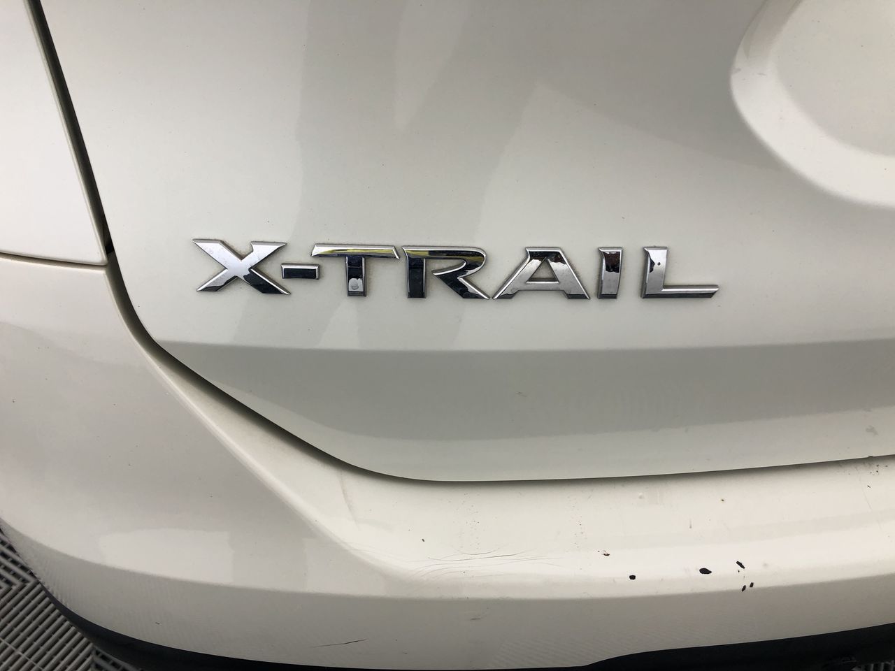 Elephant in the Room Pinot Gris 2025 (6x 750mL).