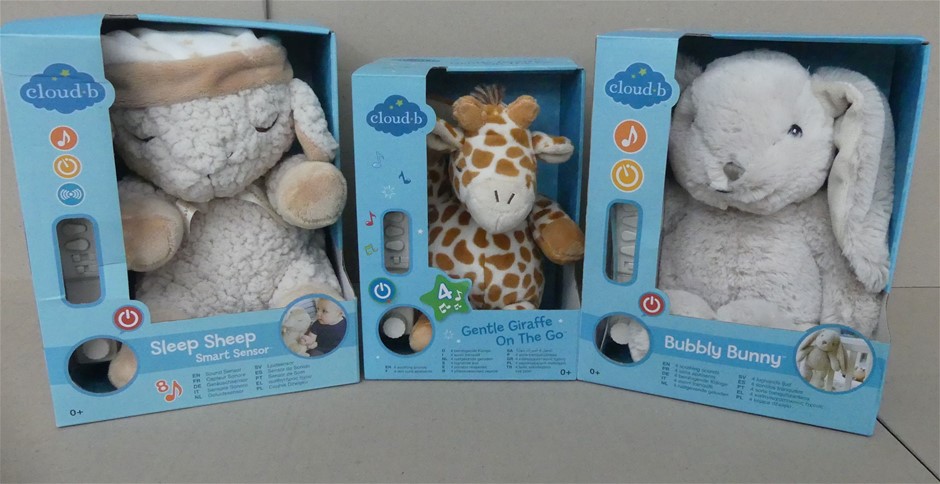 Barramundi Shiraz 2019 (12x 750mL) VIC