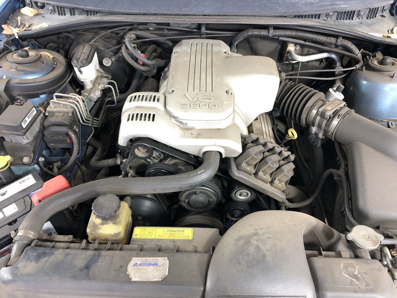 Lost Sheep Cabernet Merlot 2024 (12x 750mL) SEA