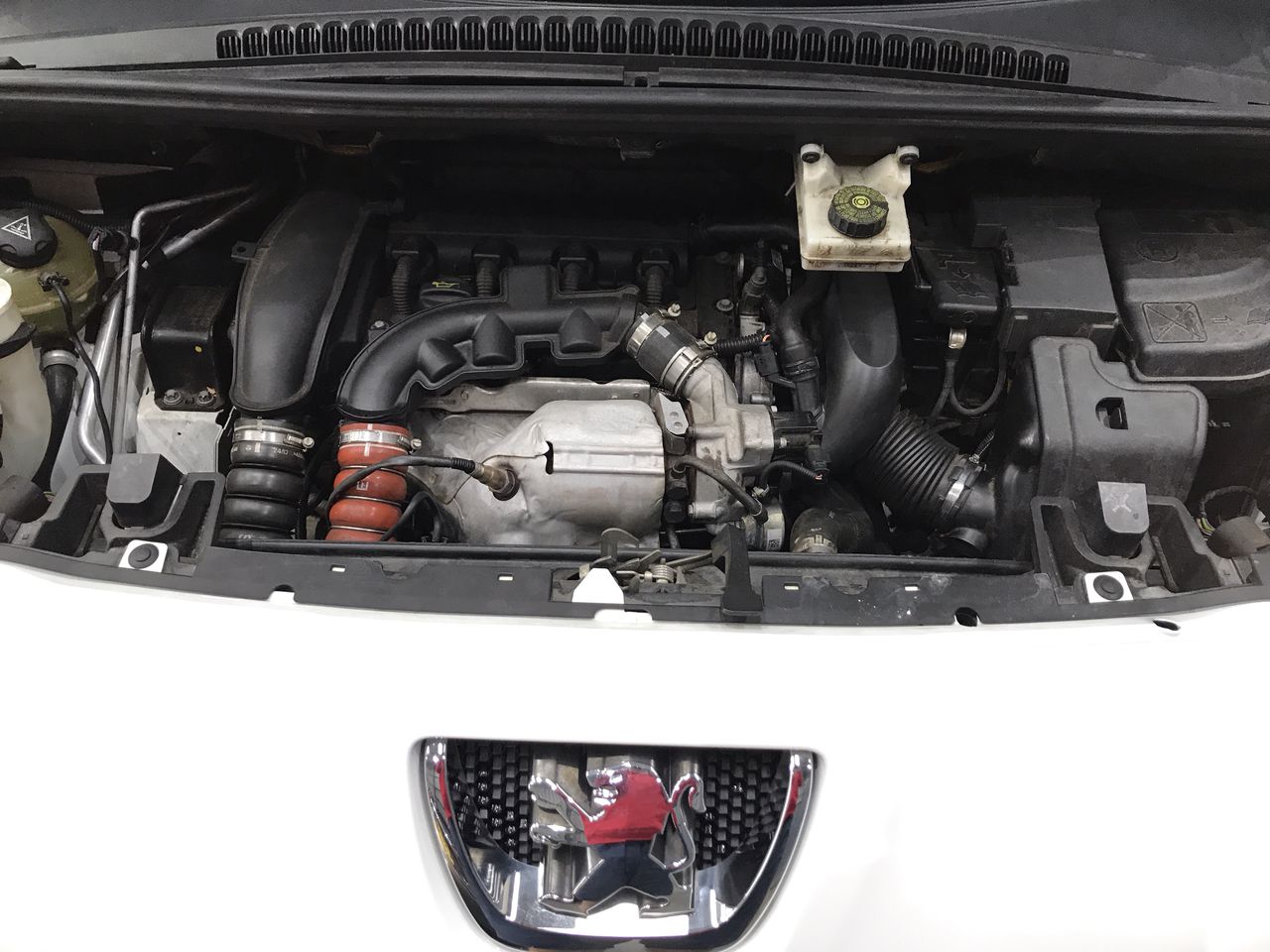 Barramundi Shiraz Petit Verdot 2019 (12x 750mL) SEA