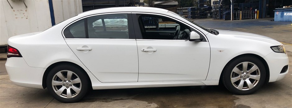 Elephant in the Room Pinot Gris 2025 (6x 750mL).