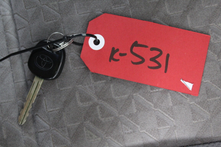 Pc Natural Raw Rough Yooperlite Tumble Fire Rocks Collector Mineral