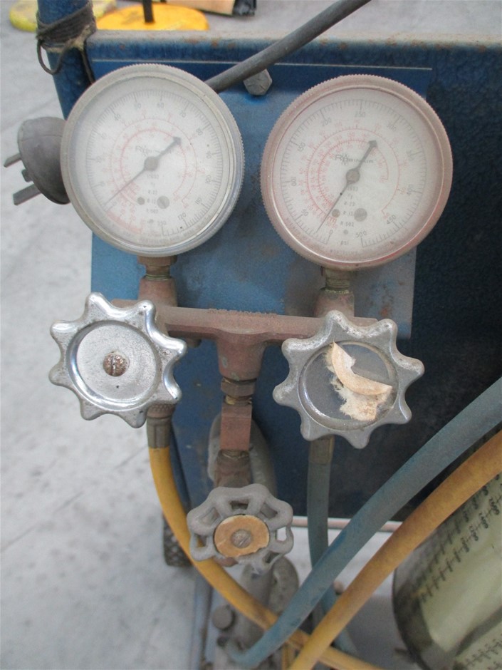 Fishbone Blue Chenin Blanc 2025 (6x 750mL) Geographe