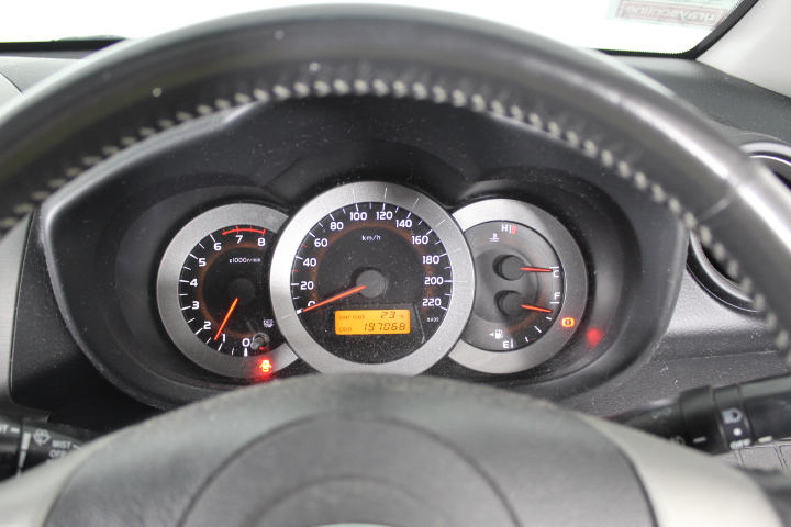 Wildsyde Electric Cruiser Bicycle