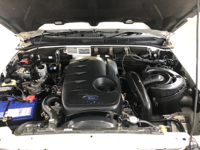 9K YELLOW GOLD PURPLE AMETHYST CLAW NECKLACE 40-45cm