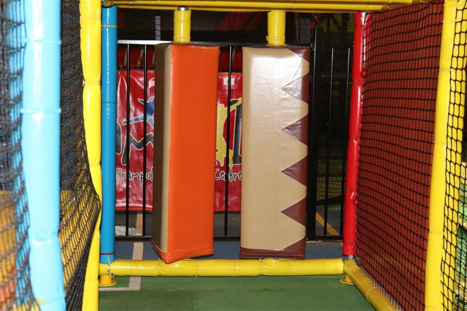 9K YELLOW GOLD ALEXANDRITE CLAW NECKLACE 40-45cm