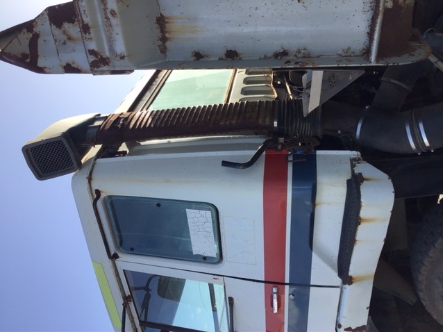 9K YELLOW GOLD 'P' 0.06 HI I1 DIAMOND NECKLACE 40+5cm