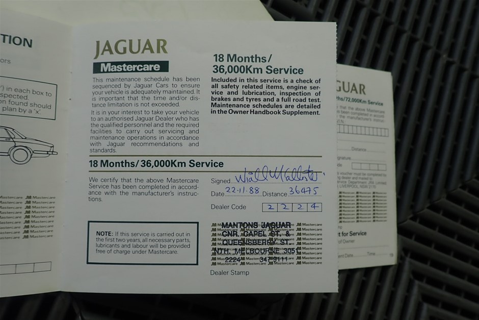 PETSAFE BB-KIB-NIB-11 Busy Buddy Kibble Nibble M/L, Interactive Meal Dispen