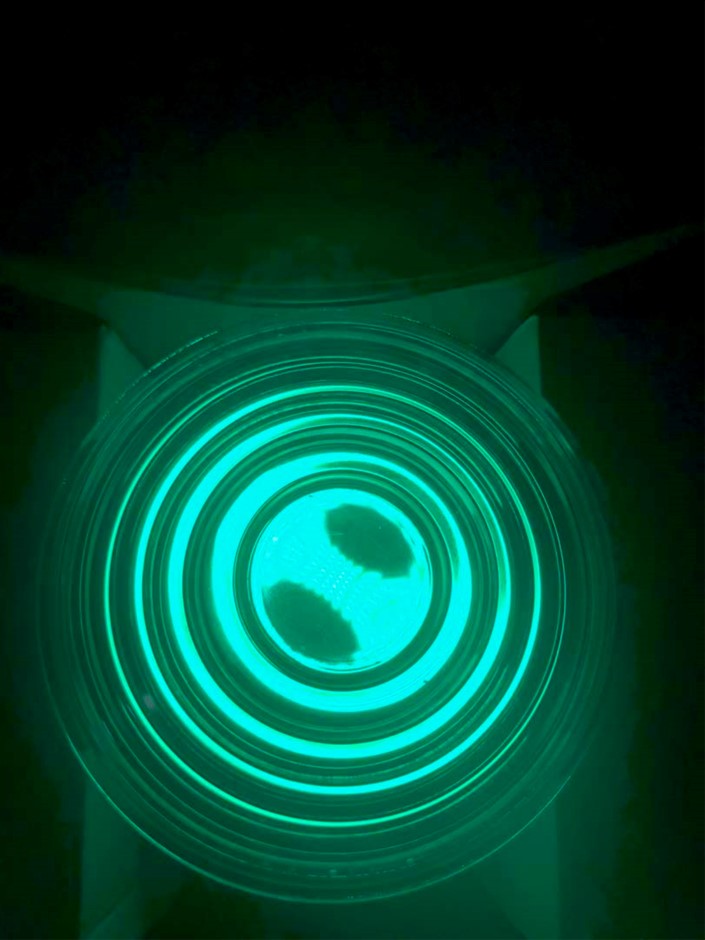 One Kilo Investment Grade Copper Bar