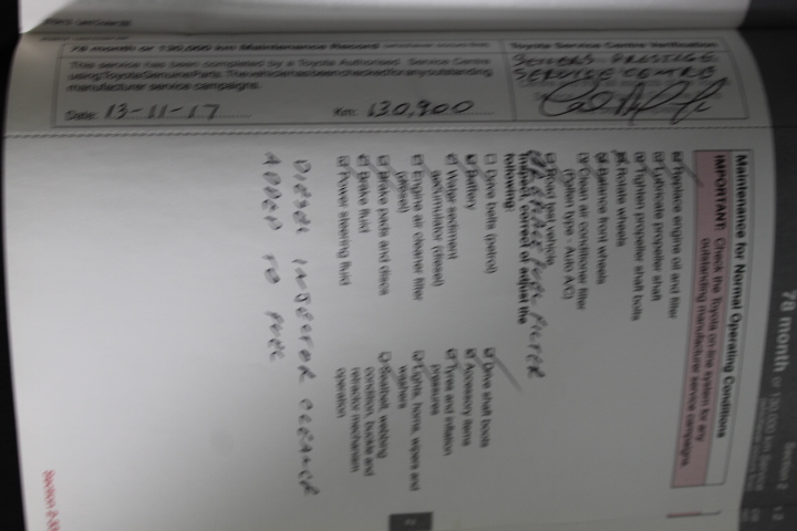 Waterproof  Watch Barrel Shaped Transparent Red Color Quartz Watch Popular