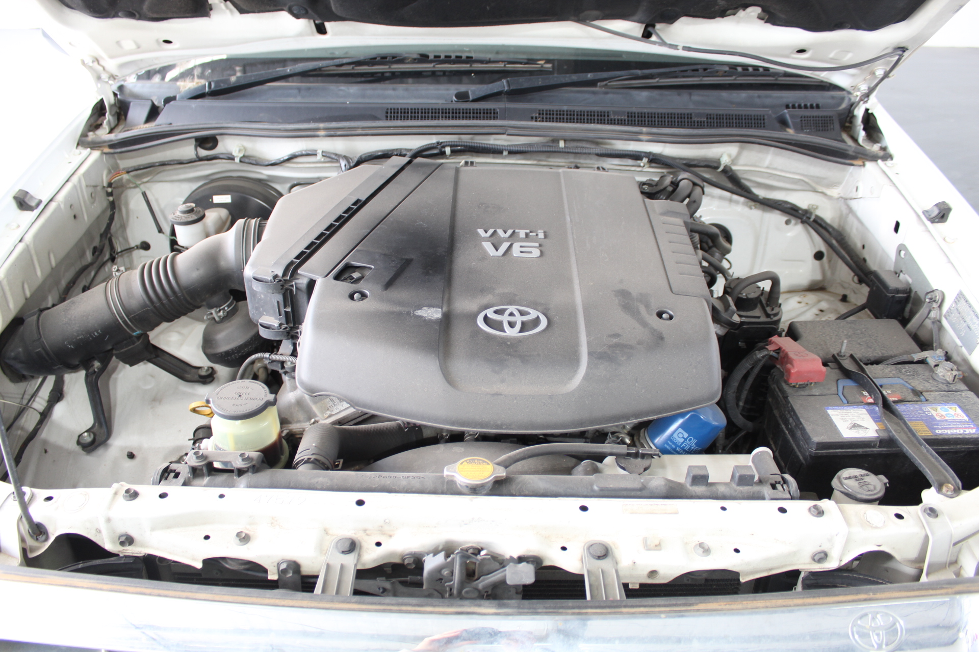 2 x Pack of 64pc CADBURY Freddo Frog Chocolate Bars, 12g Each. N.B: Damaged