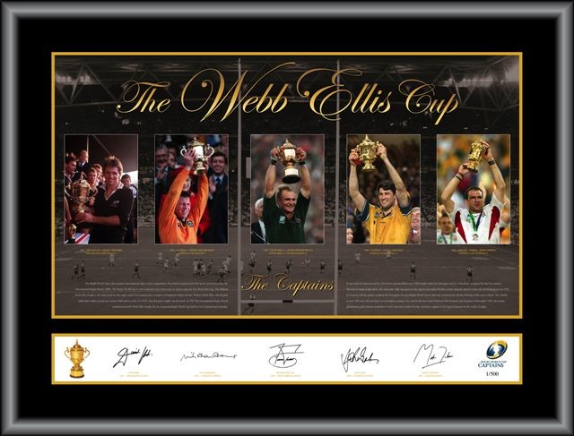 Elephant in the Room Pinot Gris 2025 (6x 750mL).